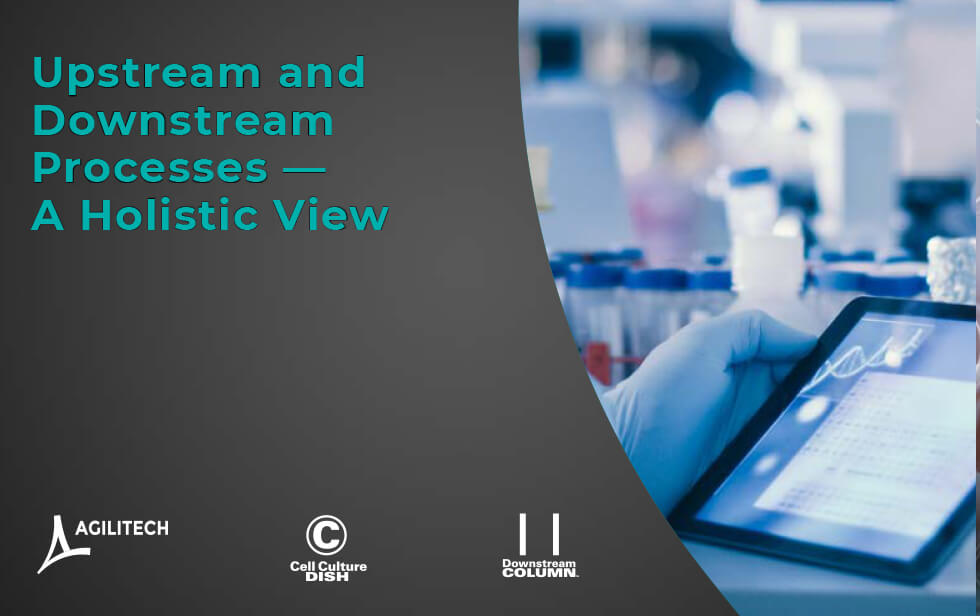 Article - Upstream and Downstream Processes - A Holistic View